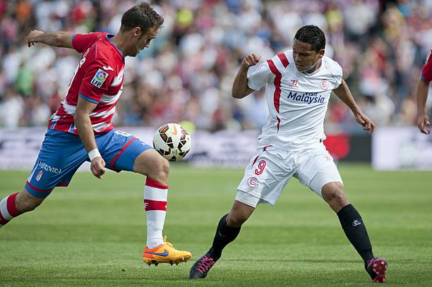 毛球的未来 毛球的未来